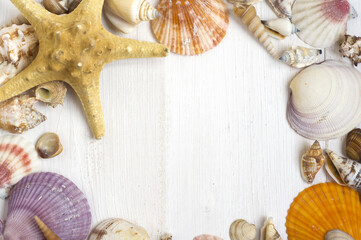 different types and sizes of shells , a large starfish spread out on a white wooden background in the form of a frame