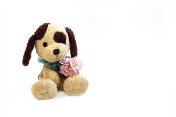 toy dog with light fur and brown spots on his head, with a blue bow on his neck, holding in his paws pink flowers sitting on a white background