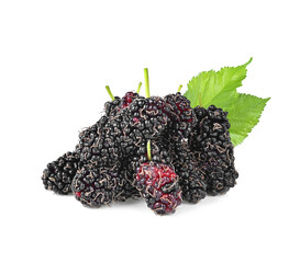 Three organic Mulberry fruits with green leaves isolated on white background