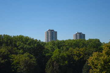 Naklejka premium Urban skyscrapers above the treetops.