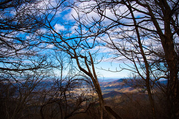 筑波山からの景色