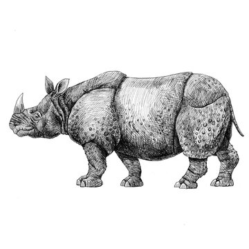 Beautiful stock pencil illustration with safari rhinoceros animal.