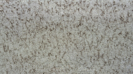 Old gray texture of concrete dirty wall with cracks of house. Decorative textured plaster wall with stains and streaks, outside surface finish of house. Abstract background. Construction concept