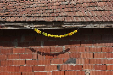 Healthy natural traditional dried vegetables hanging on rural village house wall. Yellow pepper hanged to dry. Cultural food with bright colors.