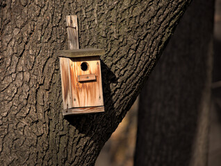 Birdhouse