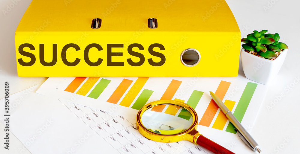 Poster office folder with text success with charts, magnifier and pen