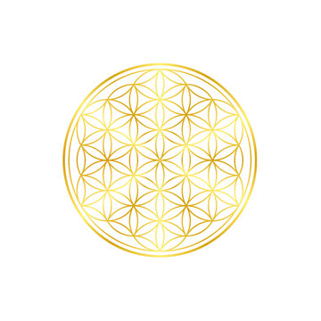 Symbol Blume des Lebens in Gold mit Hintergrund wei&szlig; au&szlig;en doppelter Kreis 2 Kreise strahlend sch&ouml;n heilige Geometrie Neue Erde Spiritualit&auml;t spirituell Lebensenergie Kraftsymbol Reinheit Sch&ouml;nheit 