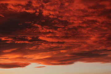 Ciel
