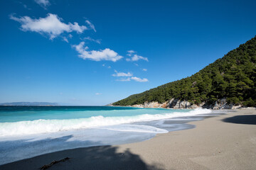beach with trees, Kastani beach ,Skopelos island,Greece
