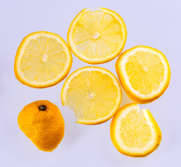 Lemon slices round, white background, macro.