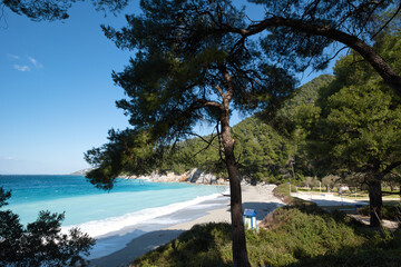 beach with trees, Kastani beach ,Skopelos island,Greece