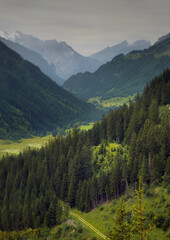 Obraz premium Paisaje verde