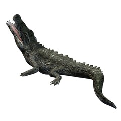 Wild animals - crocodile - isolated on white background - 3D illustration