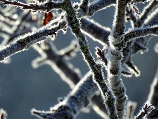 Givre