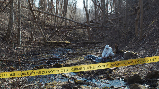Detectives are collecting evidence in a crime scene. Forensic specialists are making expertise. Police investigation in a forest.