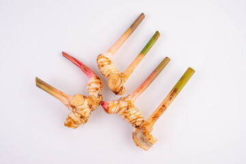 Fresh galangal isolated on white background.