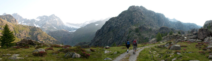 Fototapeta na wymiar Panoramic View of High Mountain Path, on Italian Alps