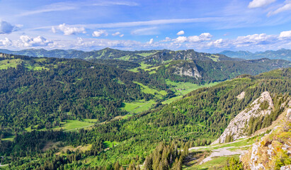 Fototapeta na wymiar Beautiful alpine landscape with mountains, meadows and forest at a sunny day near Oberstdorf.. Allgäu Alps, Bavaria, Germany