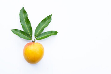 Tropical fruit, Mango  on white background.