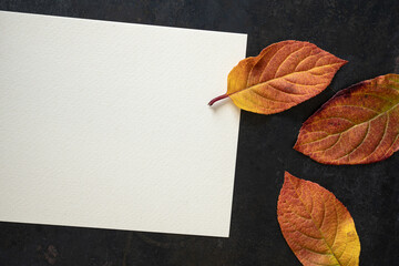 Fototapeta na wymiar Blank white paper sheet on dark background with autumn leaves. Top view with empty space for text, concept, letter, greeting, menu