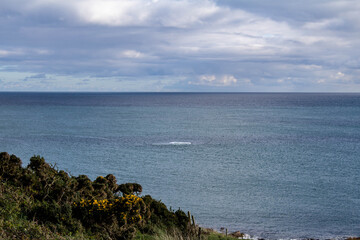 Overlooking the Atlantic ocean from the County Cork coastline in the west of Ireland.