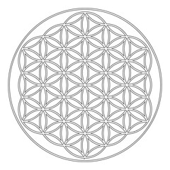 vector icon with ancient symbol flower of life 