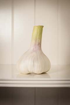Knoblauch
