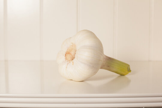 Knoblauch