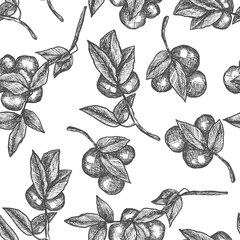Plum tree branch. Line art, sketch, engraving, line art. Seamless pattern. Isolated vector illustration.