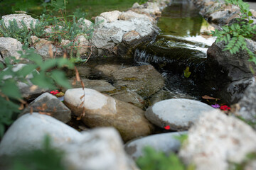 A valley near waterfall