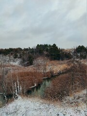 a winding little river flows in a lowland among bushes and trees against a cloudy sky