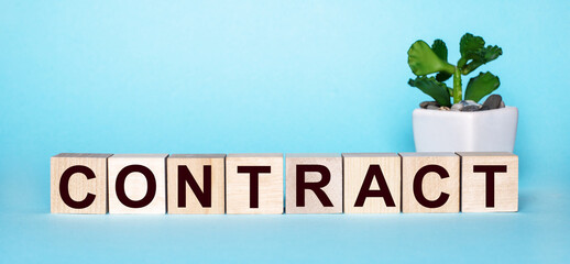 The word CONTRACT is written on wooden cubes near a flower in a pot on a light blue background