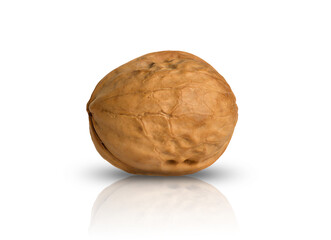 walnut in shell, on white background