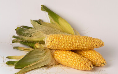 Unpeeled yellow corn on a white background