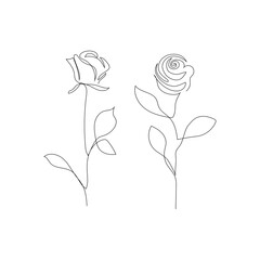 Beautiful roses one line drawing. Vector illustration.