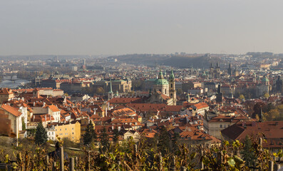 Fototapeta premium panorama