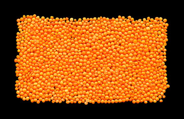 Red and orange organic lentil grains raw texture, isolated on black background
