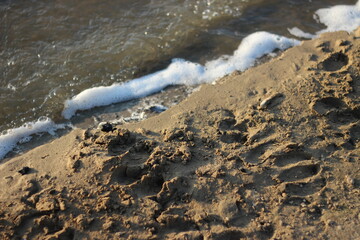 sea foam on the shore