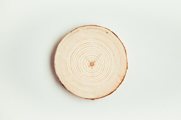 Wood cut, round shape on the white background. Round wooden saw cut.