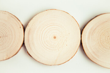 Wood cut, round shape texture. Round wooden saw cuton the white background.