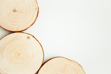 Four wood cuts, round shape on the white background. Round wooden saw cut. Copy space for text