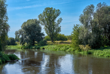 Fototapeta na wymiar Calm summer river on a sunny day