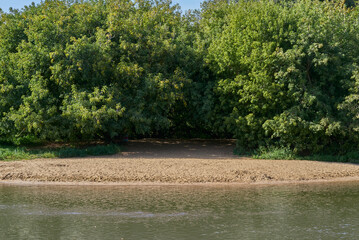 Vorya river beach on a sunny day
