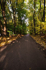 Obraz premium Autumn scenery landscape sesonal