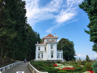 Fototapeta premium church in the park