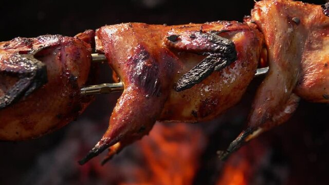 Super close-up panorama of delicious grilled quails on the skewers above the open fire