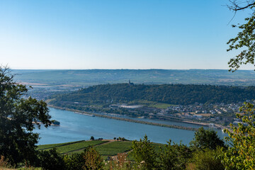 Obraz premium Blick auf den Rhein bei Rüdesheim in Hessen, Deutschland 