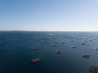 Aerial view of a calm waveless seascape with shell farms on the coast of Galicia, Spain
