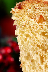 Vertical section of Christmas panettone, Easter bread. With mistletoe background