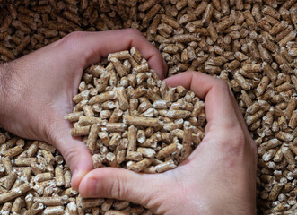 Heart shaped hands with pellets biomass